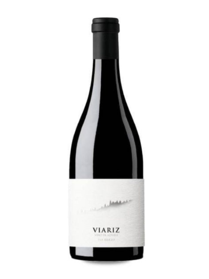 VIARIZ de RAÚL PÉREZ 2022